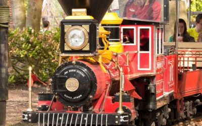 Walibi Express