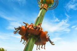 Chute