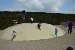Duikelduin