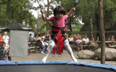 Baba’s Bungee