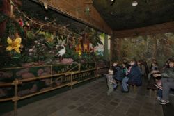 Jungle Show