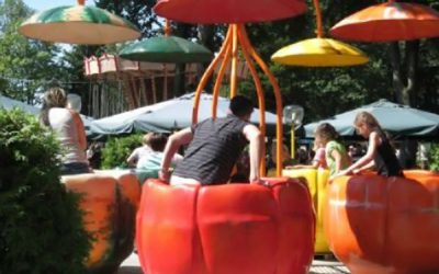 Pompoenen