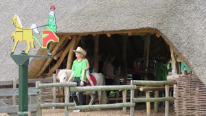 Ponyrijden